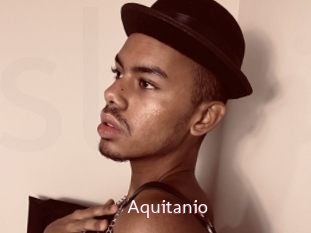 Aquitanio