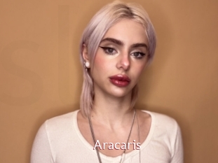 Aracaris