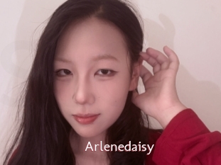 Arlenedaisy