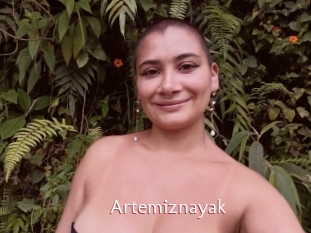 Artemiznayak