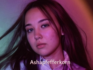 Ashapfefferkorn