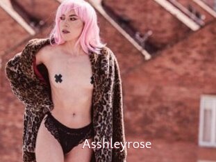 Asshleyrose