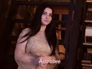 Astrobee