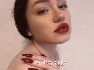 Audreybigge