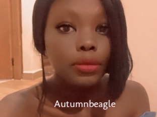 autumnbeagle Sweet links only