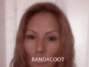 BANDACOOT