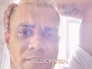 BIGDICKFORU4
