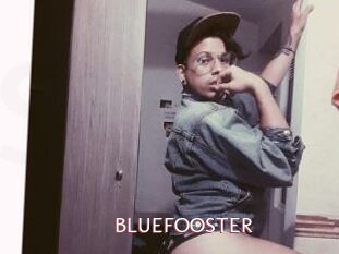 BLUEFOOSTER