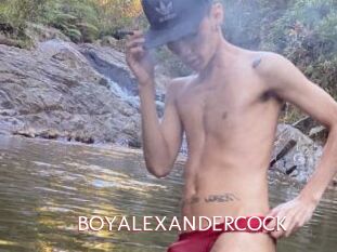 BOYALEXANDERCOCK