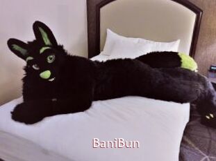 BaniBun