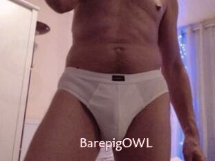 BarepigOWL
