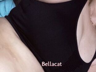 Bella_cat