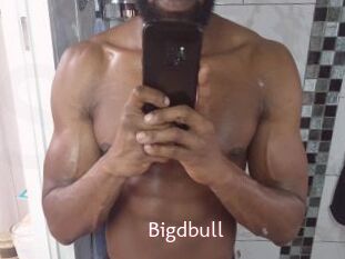 Bigdbull
