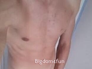 Bigdom4fun