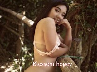 Blossom_honey