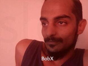 BobX