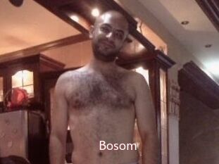 Bosom