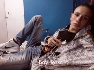 BoyHorse