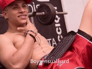 Boysensualhard