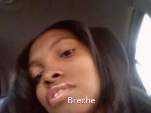 Breche