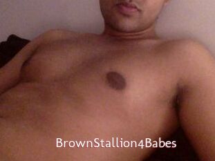 BrownStallion4Babes