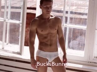 BucksBunny