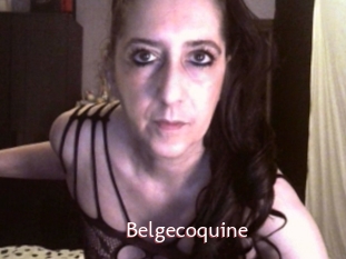 Belgecoquine