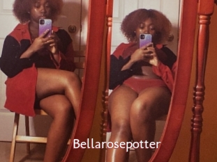 Bellarosepotter