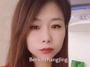 Bericezhangjing