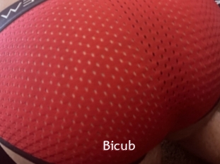 Bicub