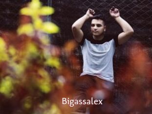 Bigassalex
