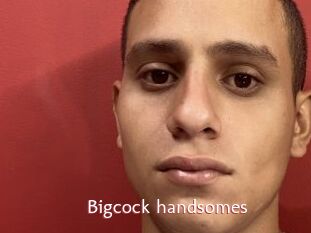Bigcock_handsomes