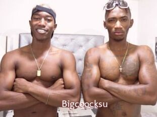 Bigcoocksu
