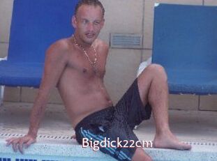 Bigdick22cm