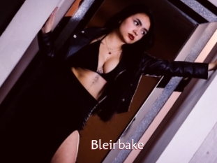 Bleirbake