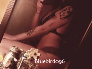 Bluebird096