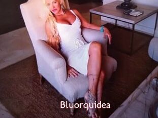 Bluorquidea