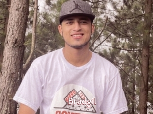Bradgil
