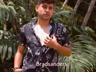 Bradsanders