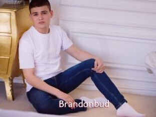 Brandonbud