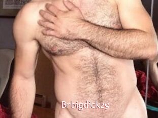 Brbigdick29