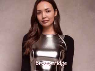 Breeestridge