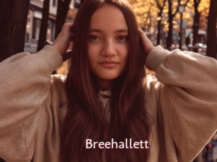 Breehallett