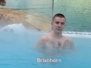 Brianhorn