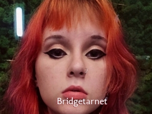 Bridgetarnet