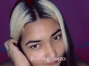 Burningrose20