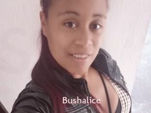 Bushalice