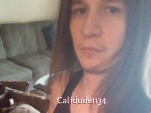 Calidude1134