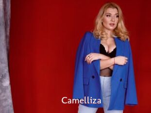 Camelliza