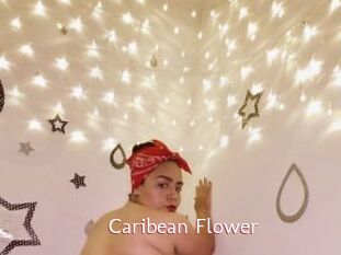Caribean_Flower